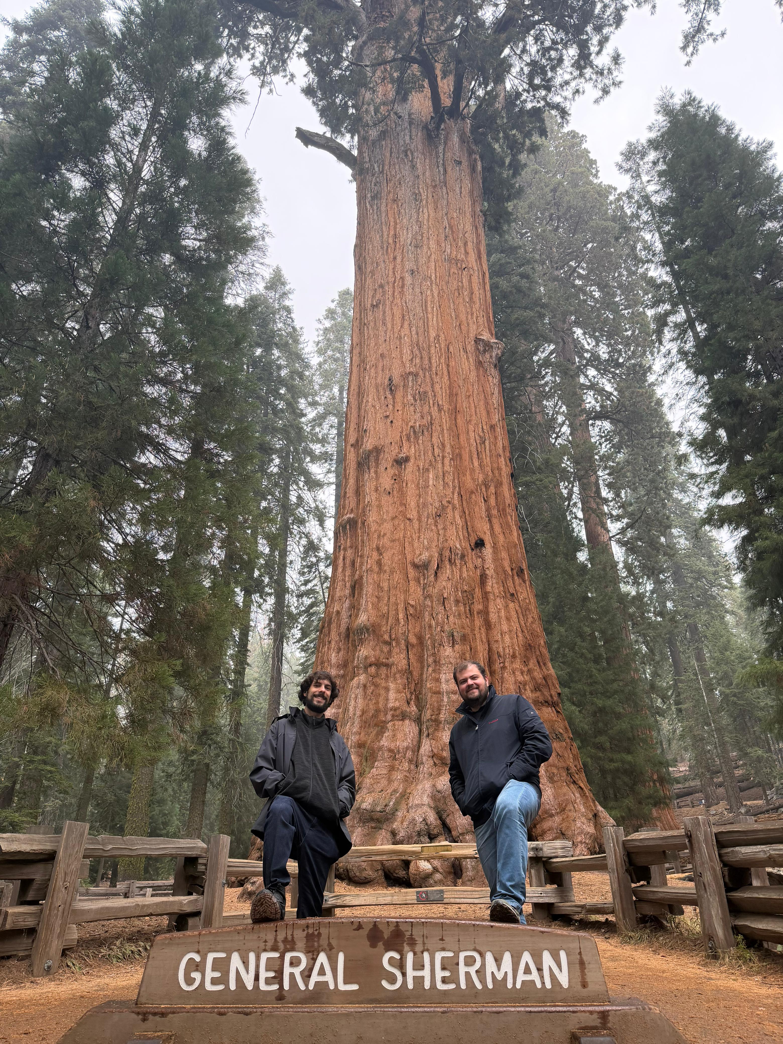 {image}/general-sherman.jpg