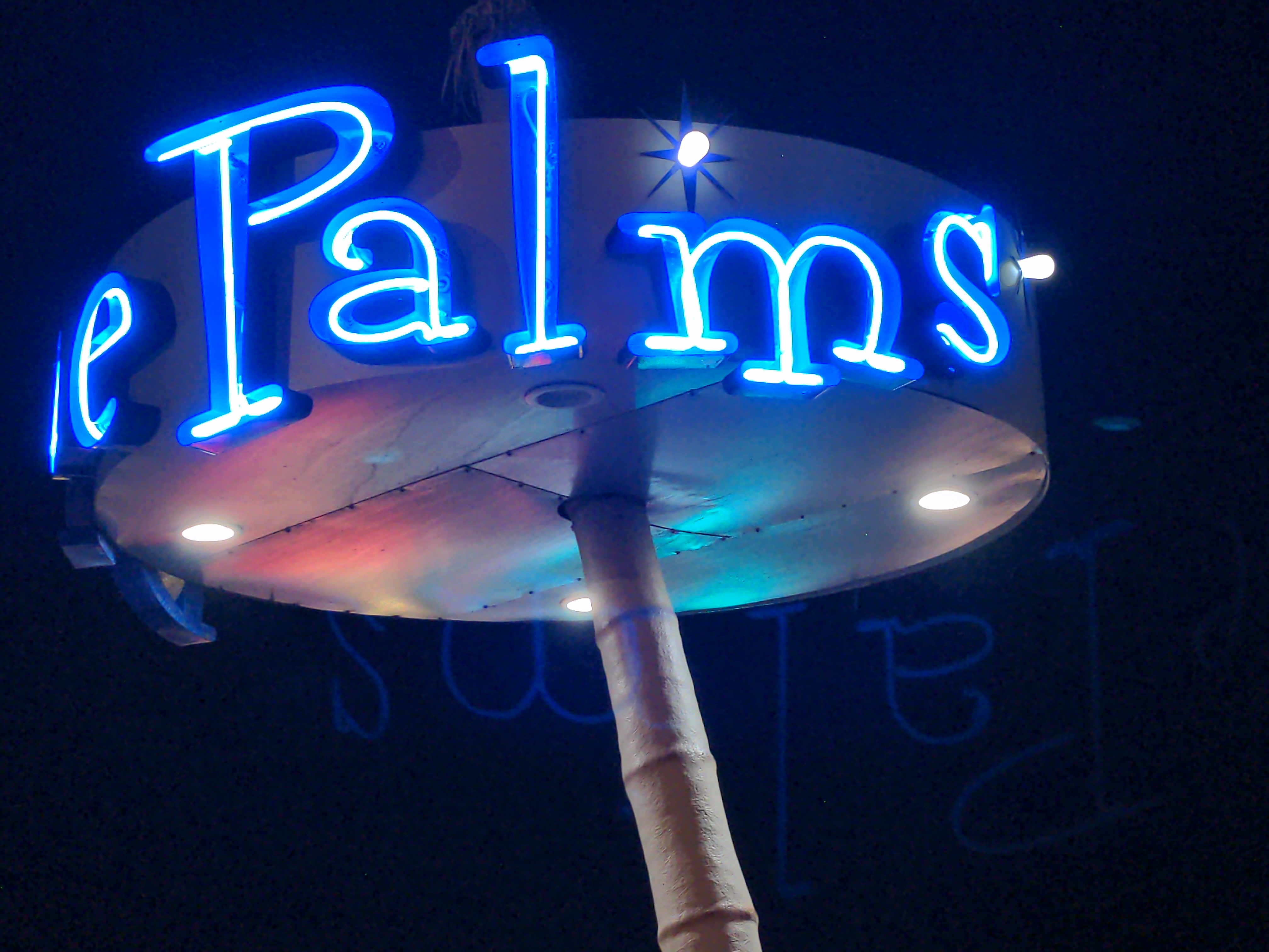 {image}/blue-palms.jpg