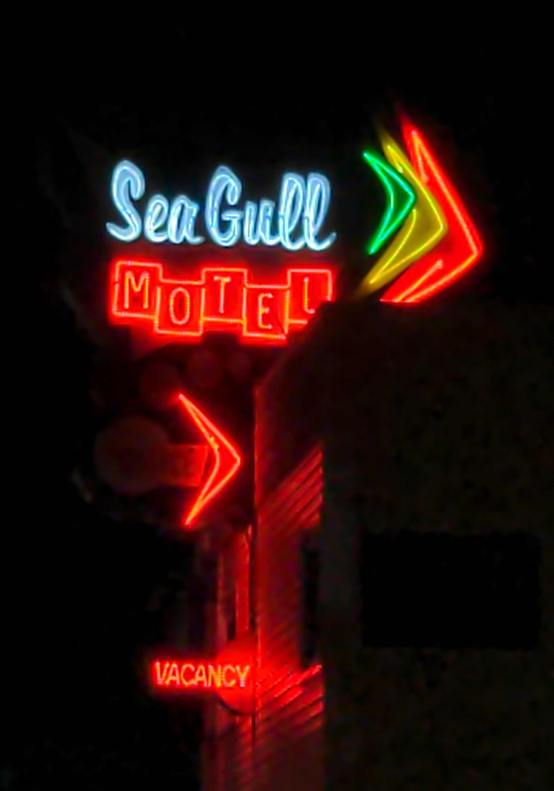{image}/sea-gull.jpg